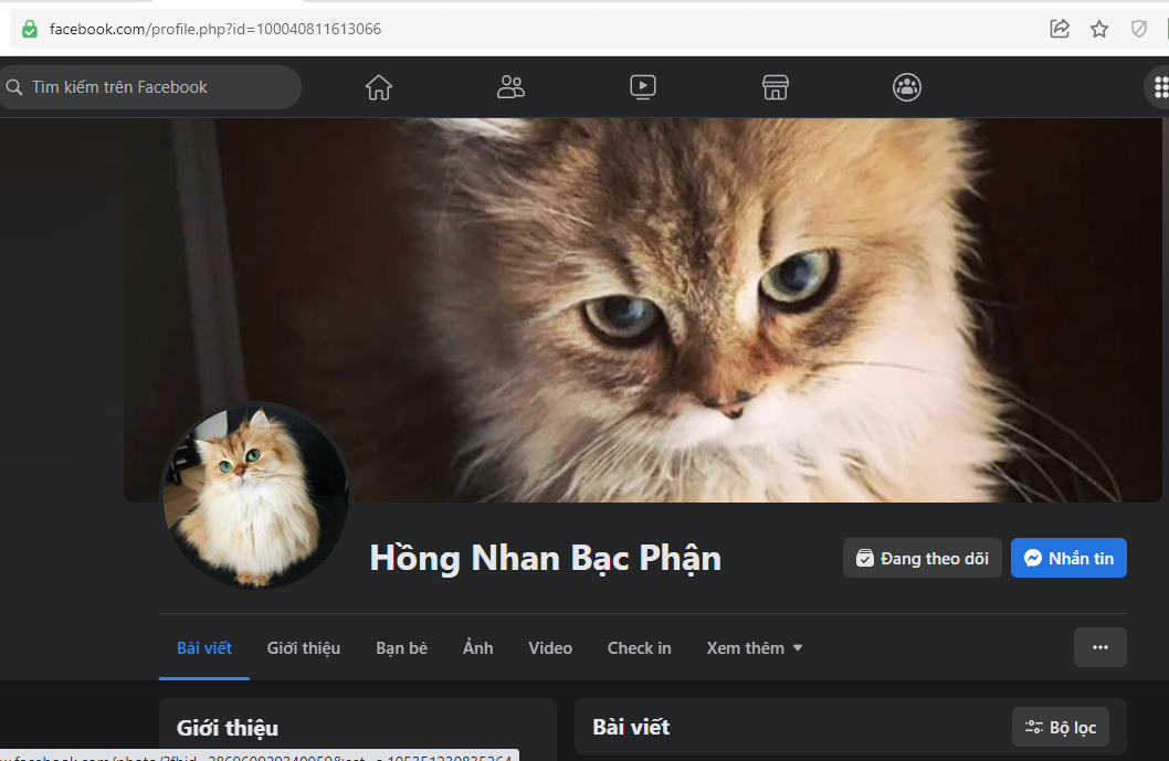 Phốt với Cò Chó/Mèo Hồng Nhan Bạc Phận (HNBP) - Hà Nội